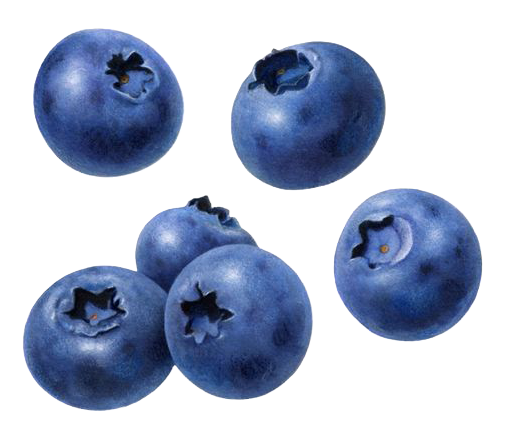 blueberry