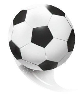 pelota